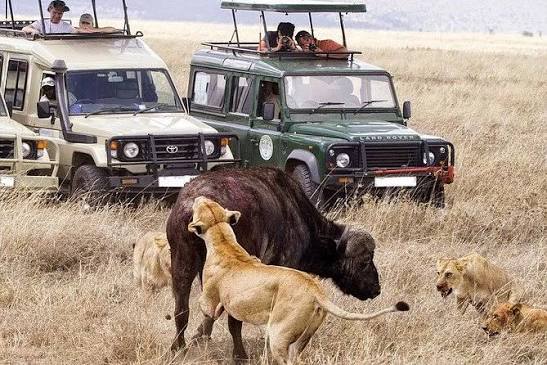 10 Days Kenya Safari & Coast