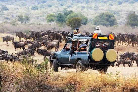 5 Days Maasai Mara Safari