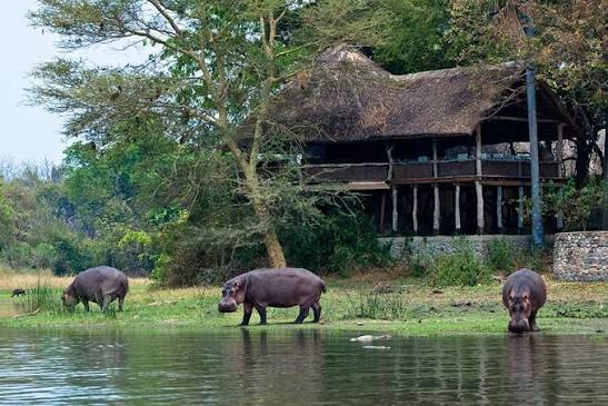 Liwonde National Park