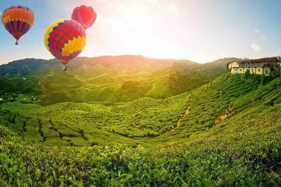 Cameron Highlands