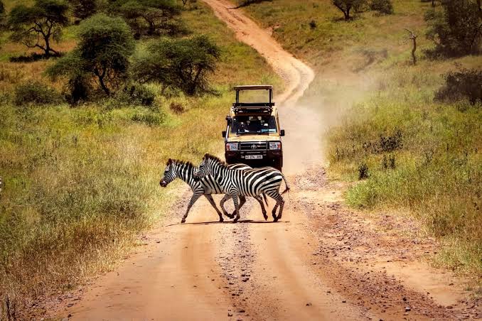 10 Days Tanzania Safari & Zanzibar